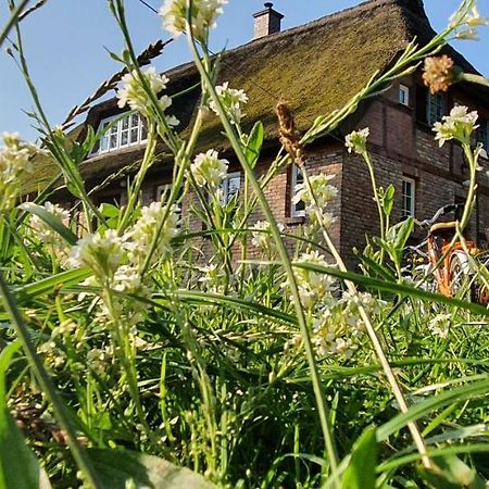 Apartment Freterg Holt, Naehe Binz In Traumhafter Alleinlage, Beirau & Beirau Gbr Zirkow Exteriör bild